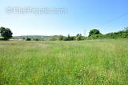 DSC_1064 - Terrain à AURIGNAC