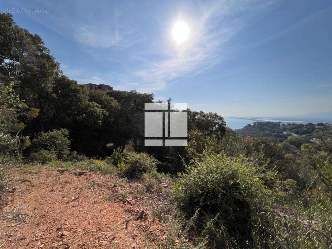 Terrain à BASTIA