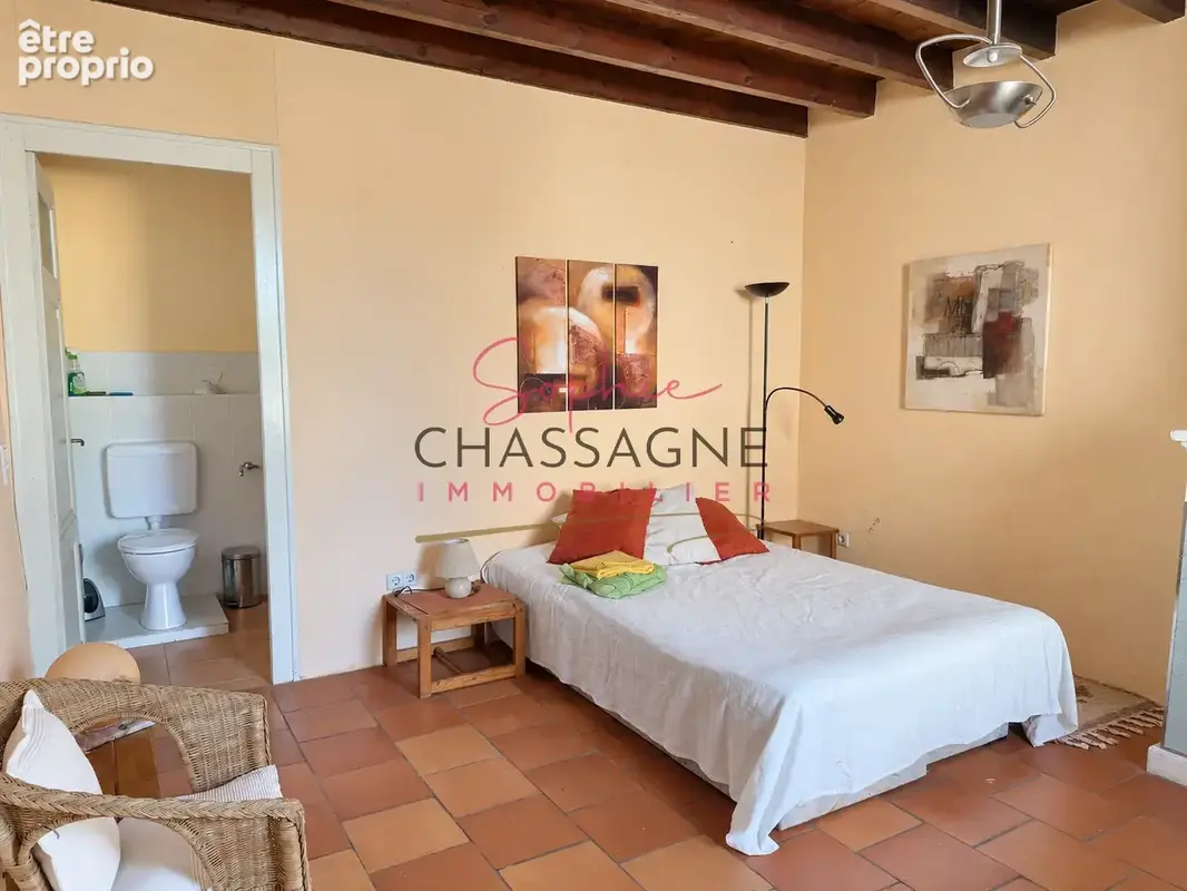 Maison en pierre avec deux logements et de nombreuses dépendances sur 274 m2 de terrain - photo 13