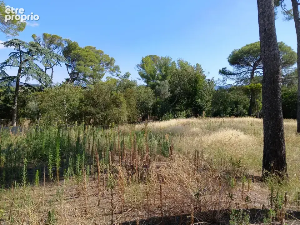 Terrain 500 m² à Cournonsec  - photo 1