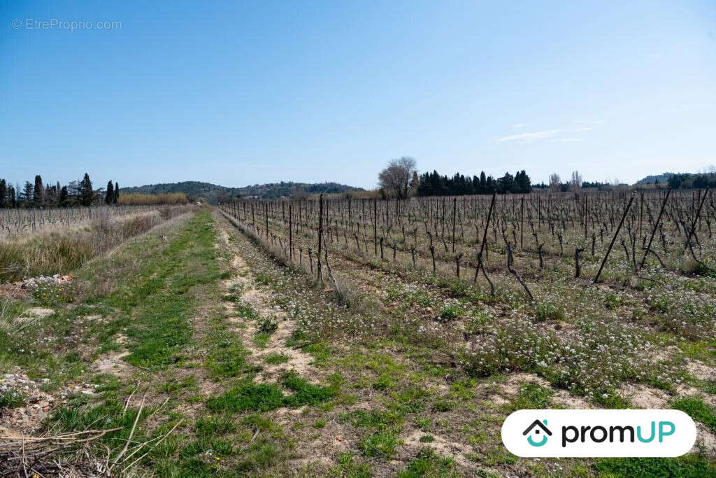 Terrain à PEYRIAC-DE-MER