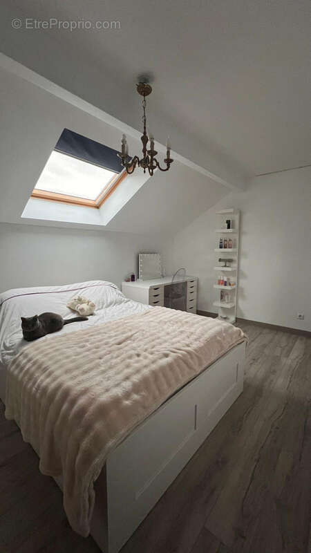 Maison à SCIENTRIER