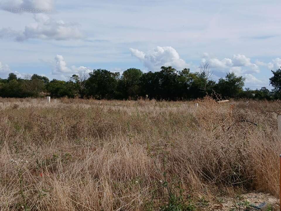 Terrain 385 m² à Frenouville  - photo 2