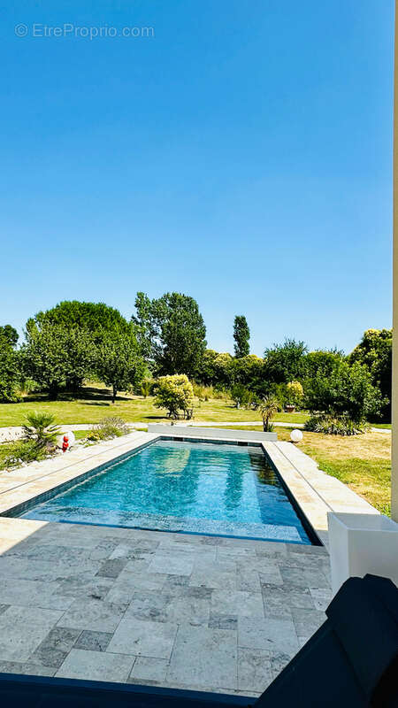 PROPRIETE avec piscine sur un 1,1 ha clôturé - photo 4