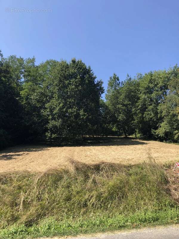 Terrain à MOULEYDIER