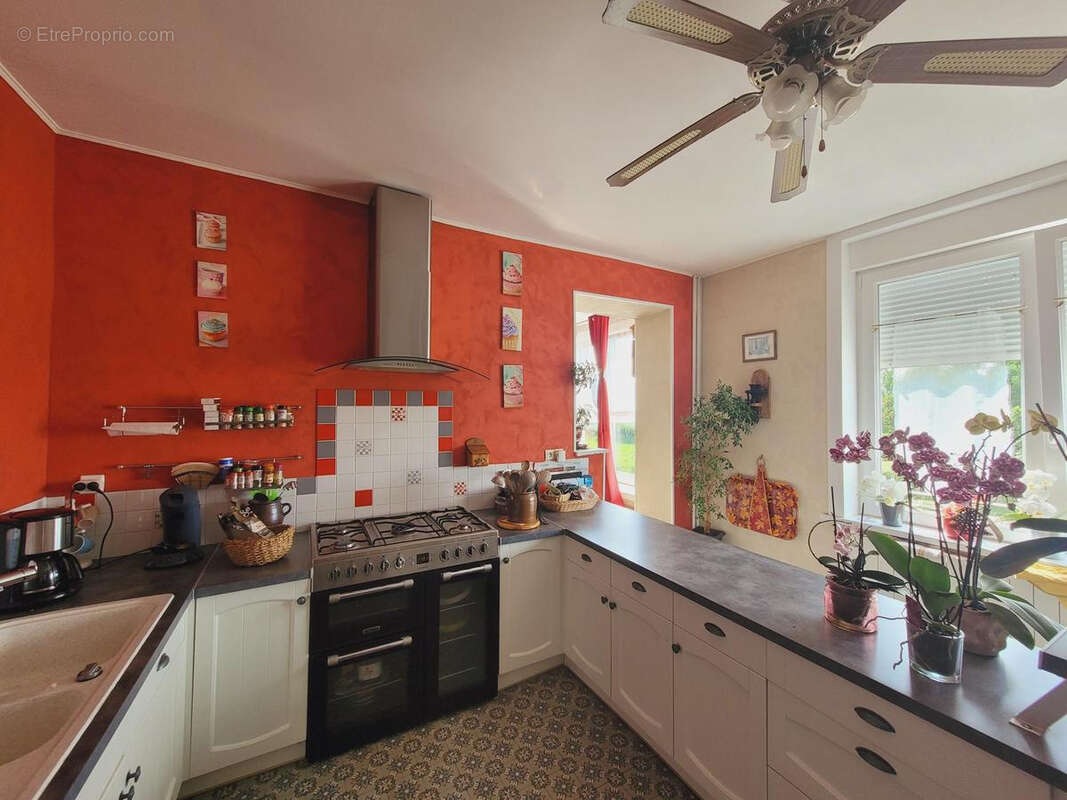 Maison à AVESNES-SUR-HELPE