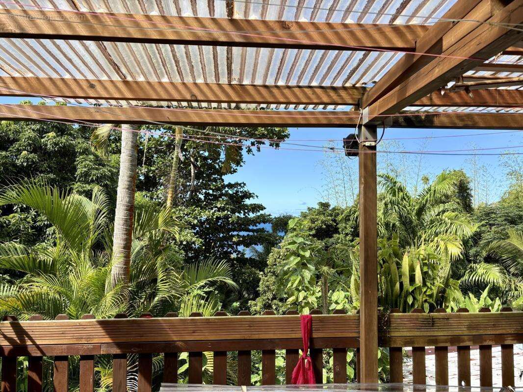 Maison d'exception avec vue Océan Indien – Idéal Résidence ou Projet Écotouristique / Gîte – Sainte-Rose (Secteur Anse des Casca - photo 10