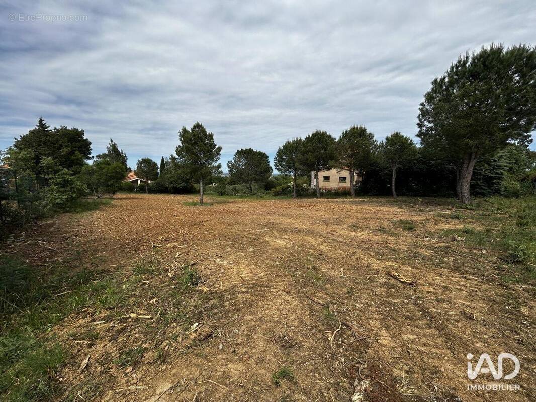Photo 1 - Terrain à MONTESQUIEU-DES-ALBERES