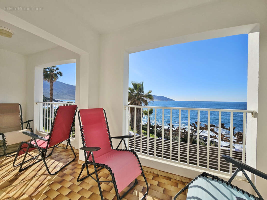30 minutes d'AJACCIO - Immeuble de 6 appartements pieds dans l'eau - photo 32