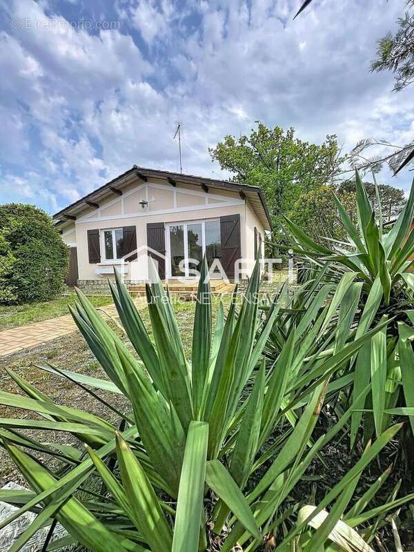 Photo 5 - Maison à ANDERNOS-LES-BAINS