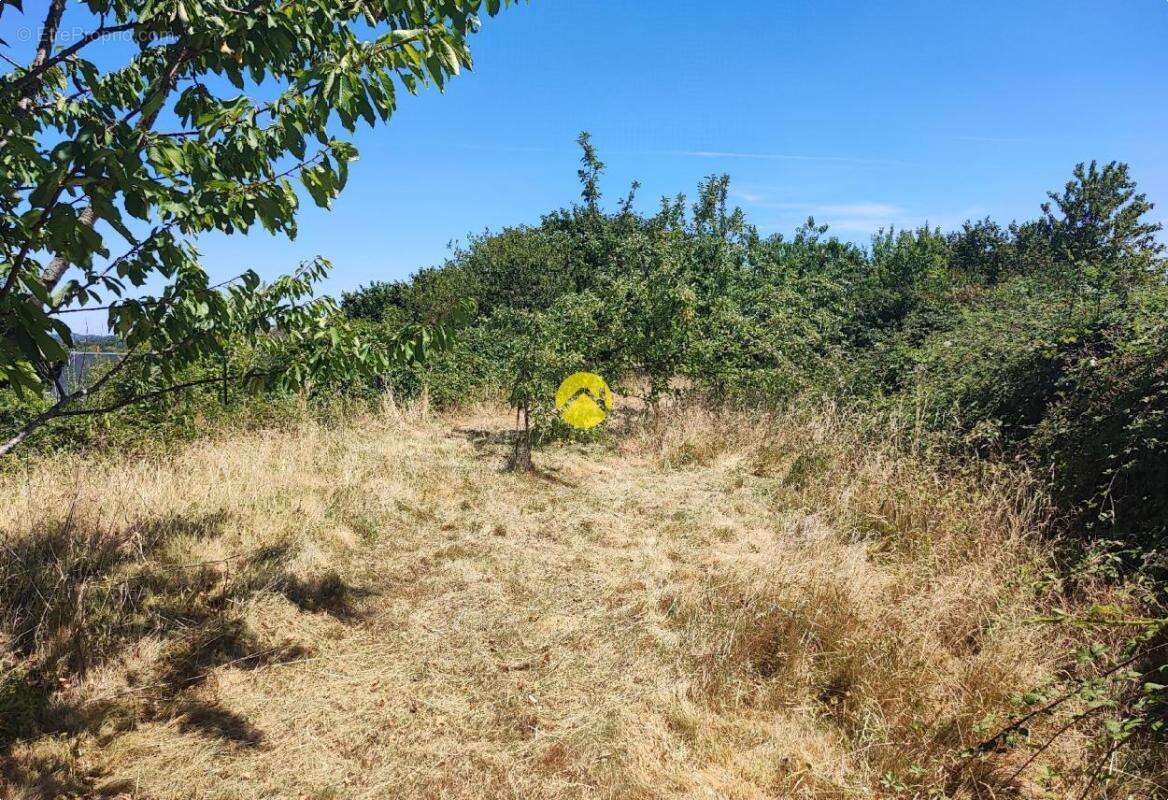 71m², proches de tous commerces - photo 13