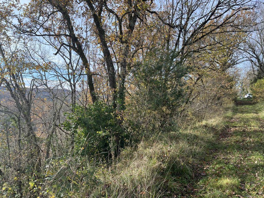 Terrain à SAINT-PIERRE-DE-CLAIRAC