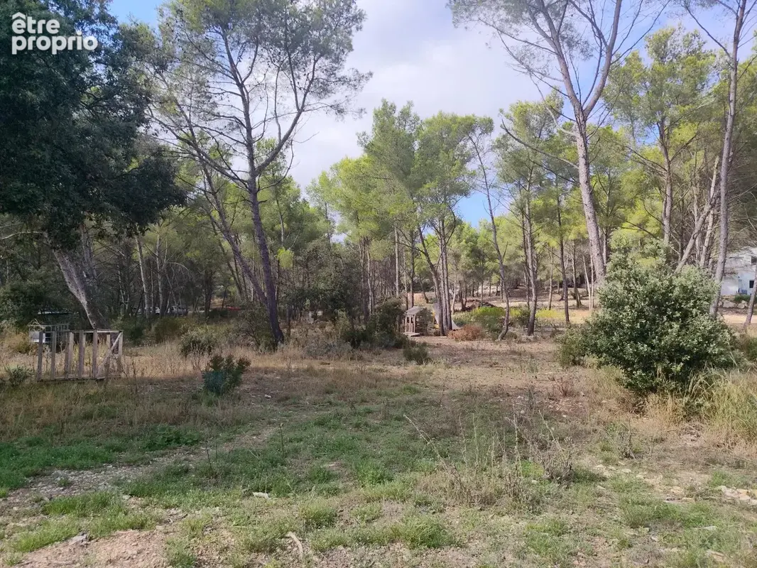 Martigues – Propriété de charme rénovée avec 2 maisons, grand jardin et dépendance - photo 3
