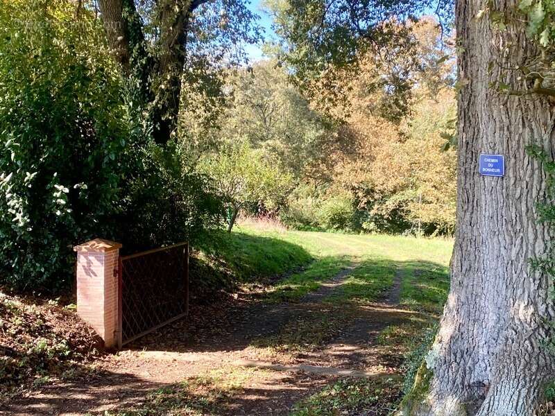 Magnifique Moulin rénové en totalité (DPE D) avec gîte indépendant sur terrain de 3,5HA arboré sans vis à vis BOUGUE (40) - photo 5