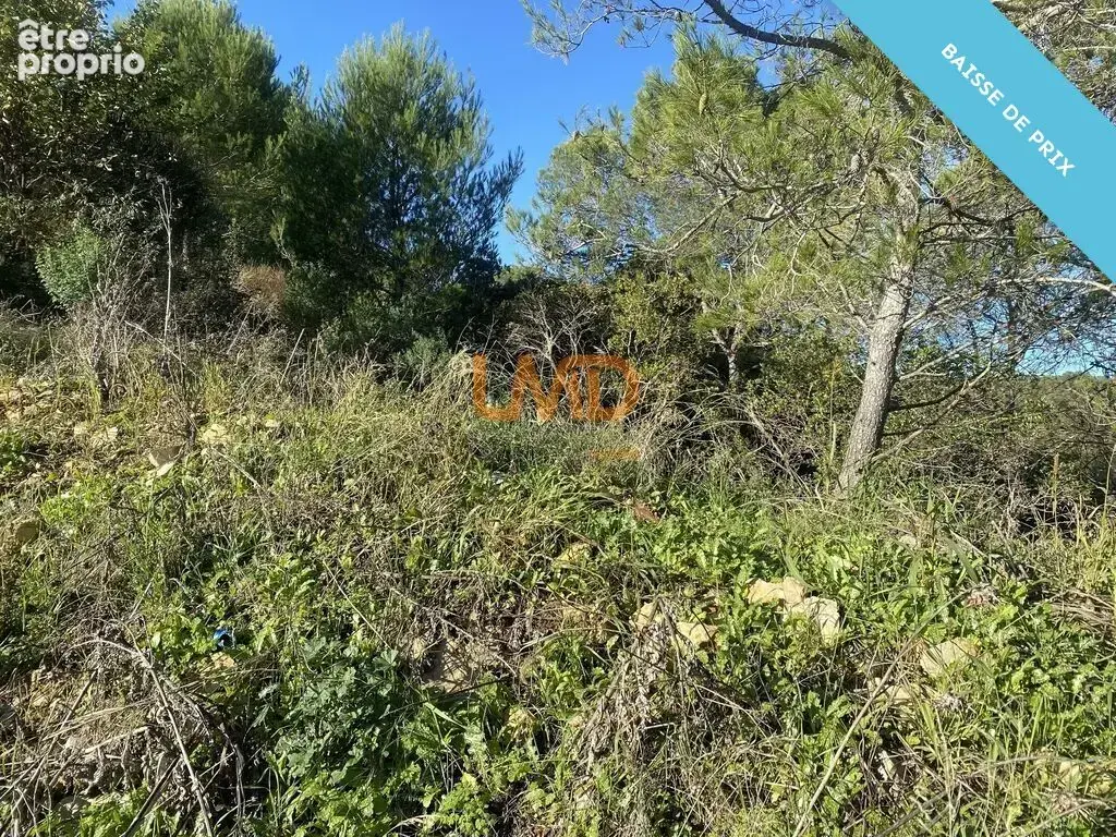Terrain avec permis et fondations d'une maison - photo 4