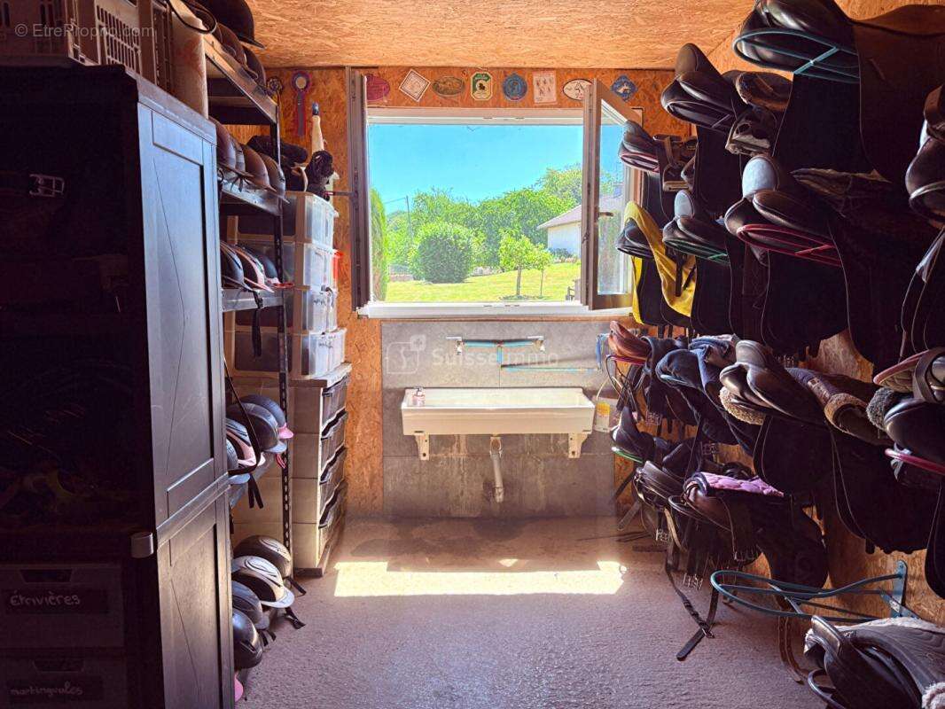 Centre equestre avec manege couvert et cabinet d'equitherapie - photo 9