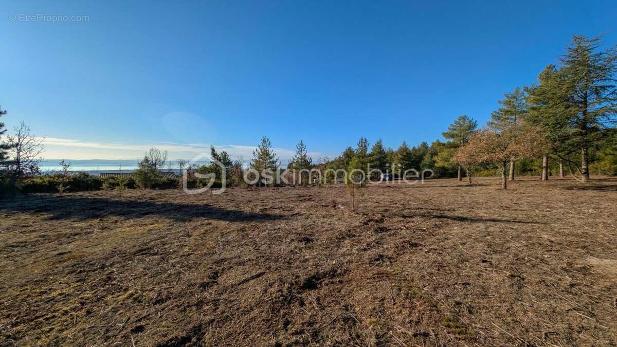 Terrain de 8 000 m² dont 3 700 m² constructibles, avec vue dégagée - photo 7