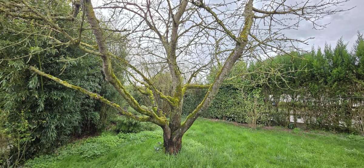 Maison à GRANDFRESNOY