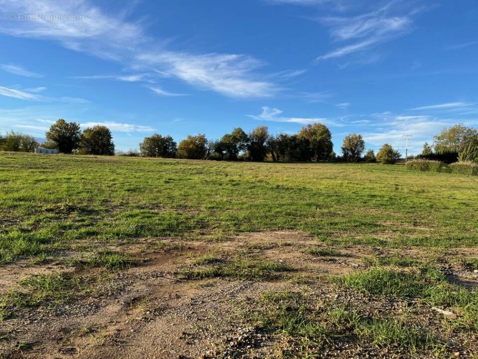 Terrain à AMBONIL