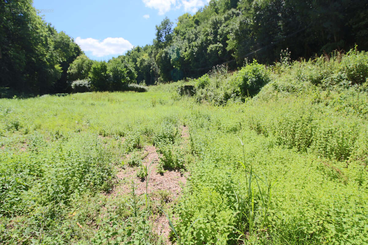 Terrain à PUY-L'EVEQUE