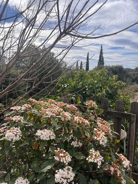 Maison à SAINT-MARTIN-DE-LONDRES