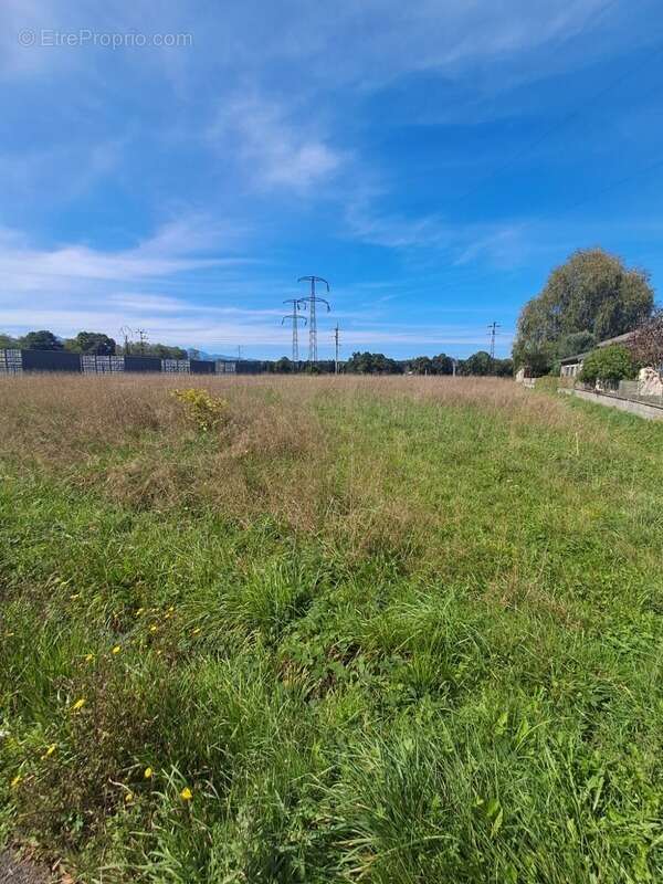 Terrain à LANNEMEZAN