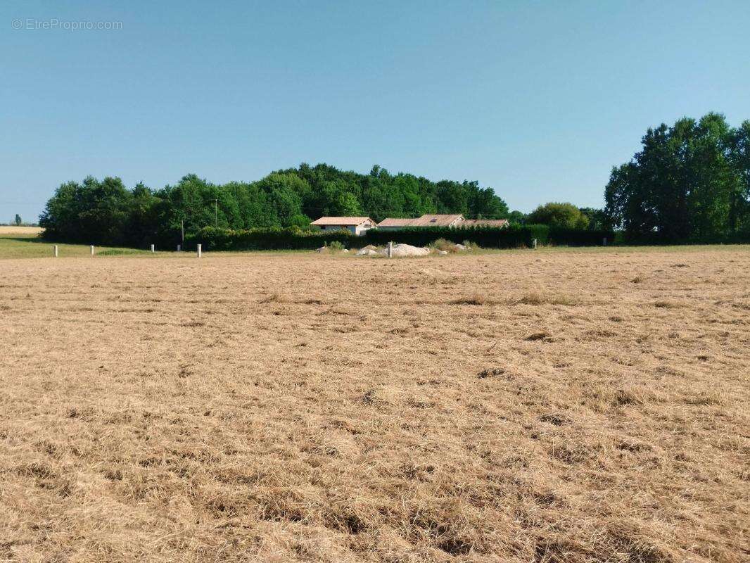 Terrain 1 750 m² à vendre à Merignac (17210) - photo 4