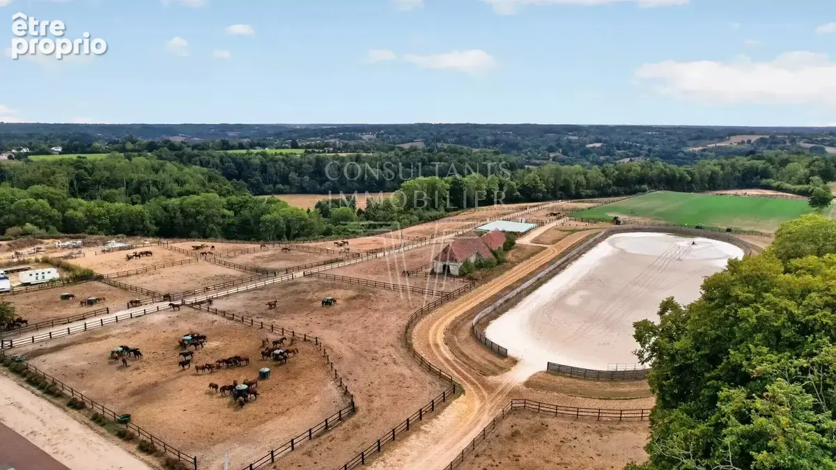 A 8 min de lisieux - haras de 11 ha - photo 21