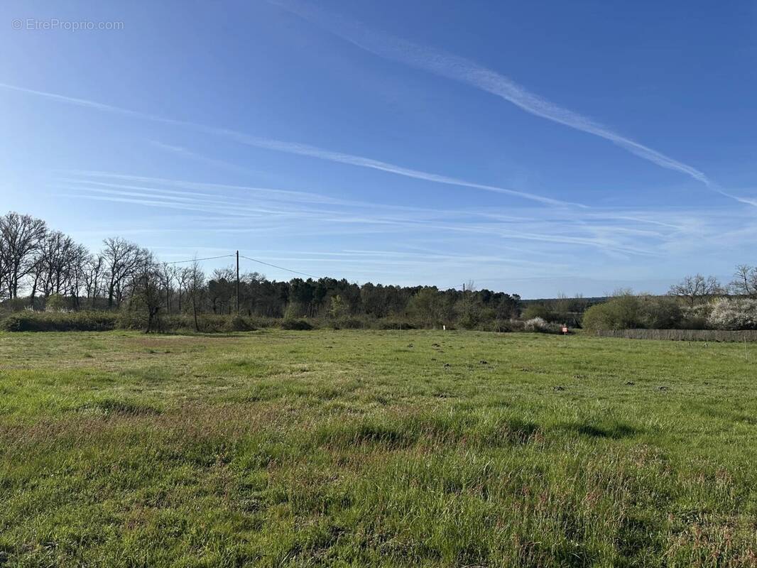Terrain à CASTELJALOUX