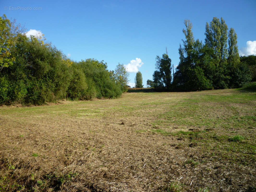 Terrain de loisir - photo 12