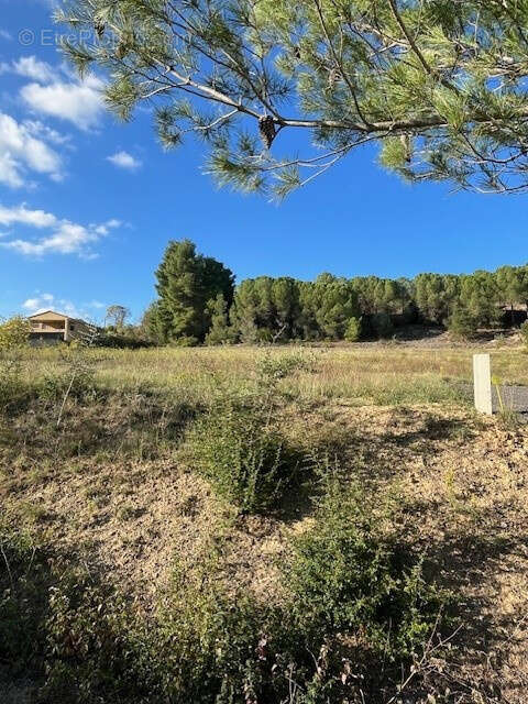 Terrain viabilise - 2 850m2 - a 6km de limoux - photo 5