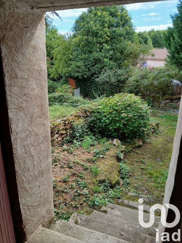 Photo 3 - Maison à SAINT-AMANS-SOULT