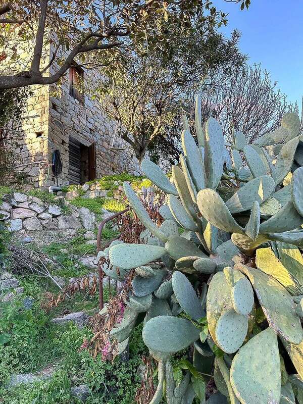 Maison à SARROLA-CARCOPINO