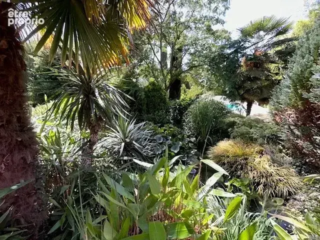 Maison d'architecte 4ch, piscine, accès Saône, parc 1,1 ha - photo 14