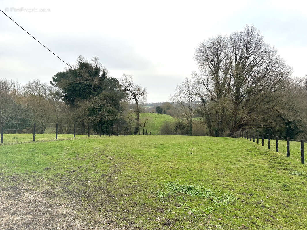 Maison à LES LUCS-SUR-BOULOGNE