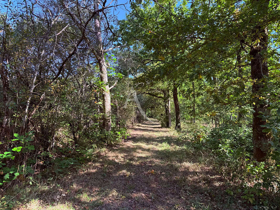 Terrain à LA FERTE-SAINT-AUBIN