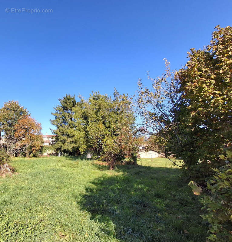 Photo 3 - Terrain à SAINT-ROMANS-LES-MELLE