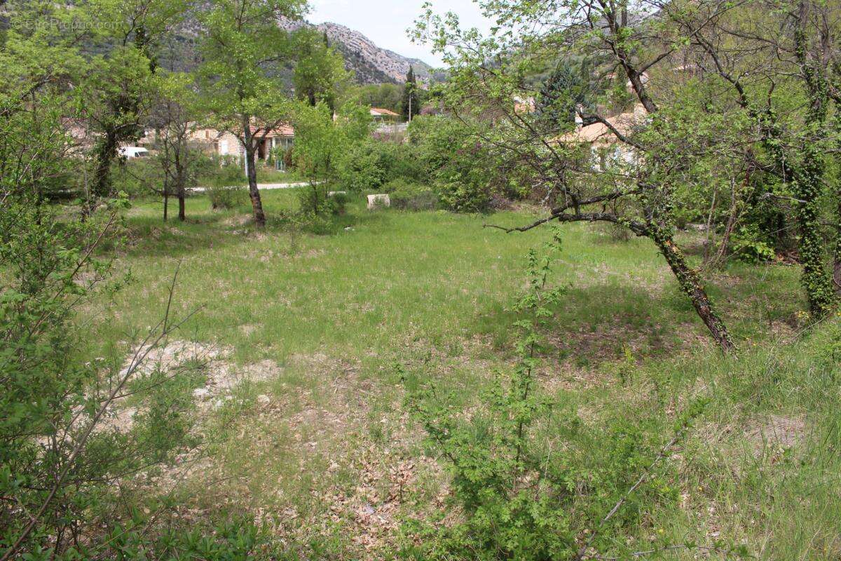 Terrain à BUIS-LES-BARONNIES