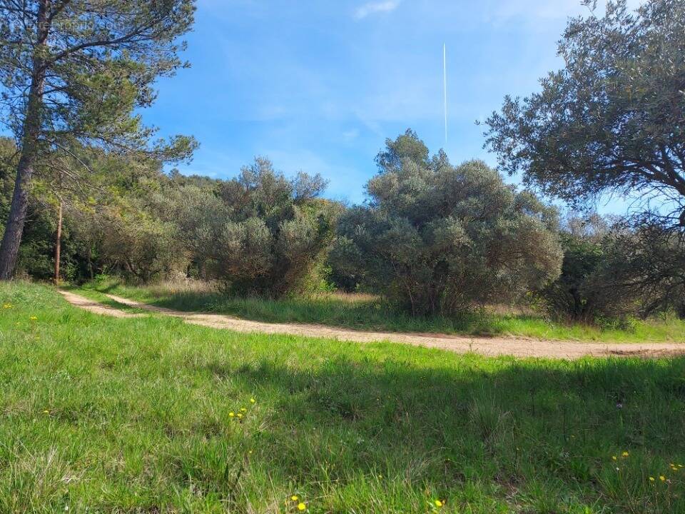 Terrain 1376 m² à Camps-La-Source  - photo 1