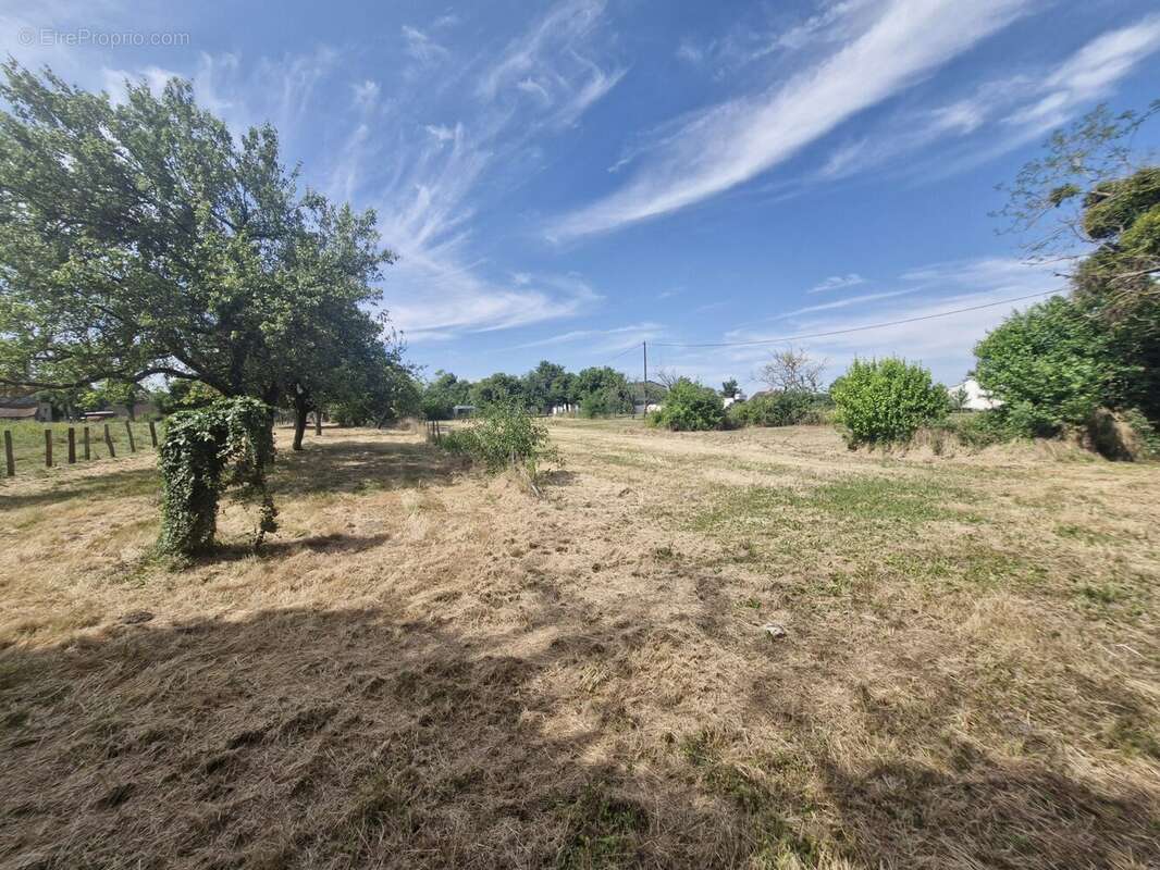 Commerce à CHARNAY-LES-CHALON