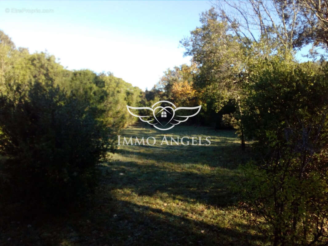 Terrain à VIOLS-EN-LAVAL