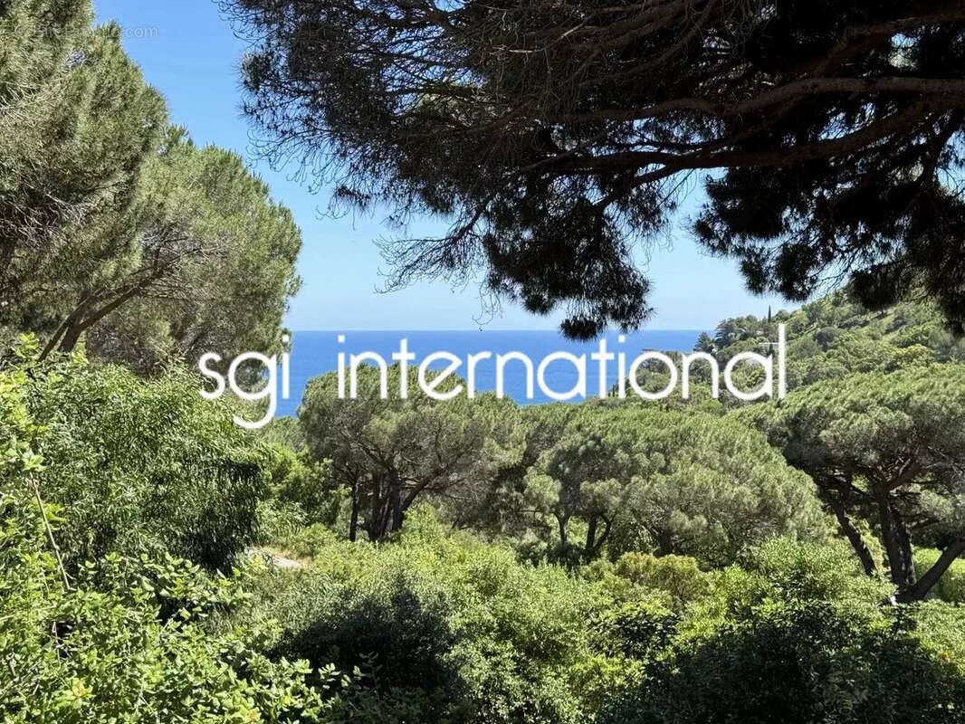 Maison à RAMATUELLE