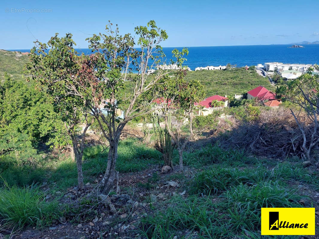 Terrain à SAINT-MARTIN