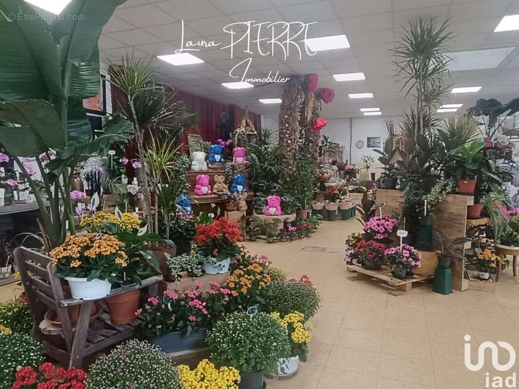 Photo 2 - Commerce à HEROUVILLE-SAINT-CLAIR