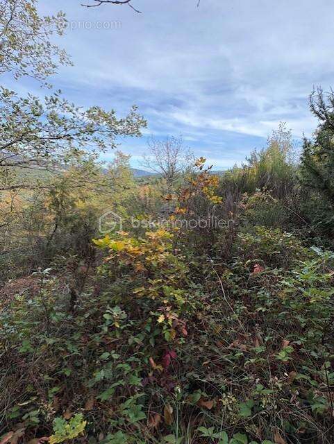 Terrain 10850 m2 Rabouillet - photo 7