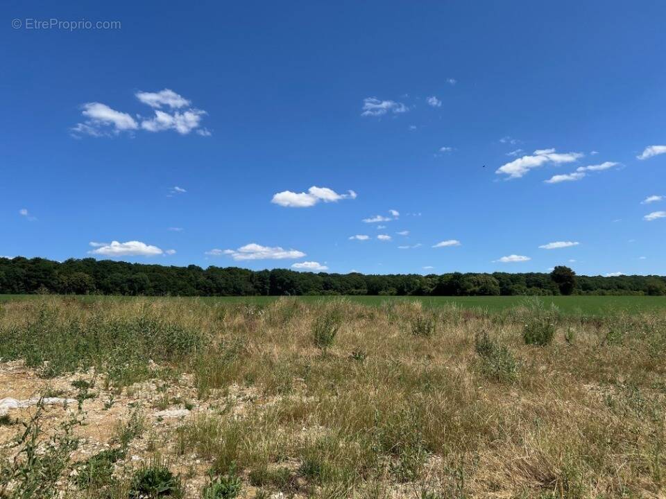 Terrain à GISORS