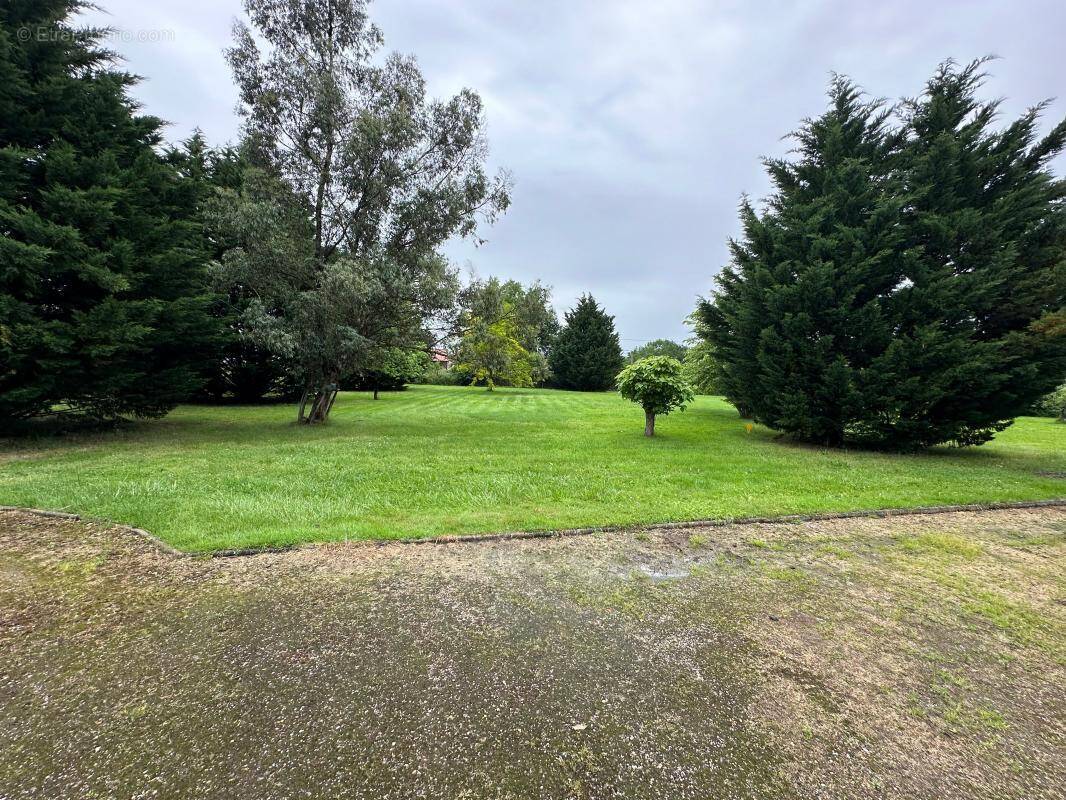 Terrain à BUZET-SUR-BAISE