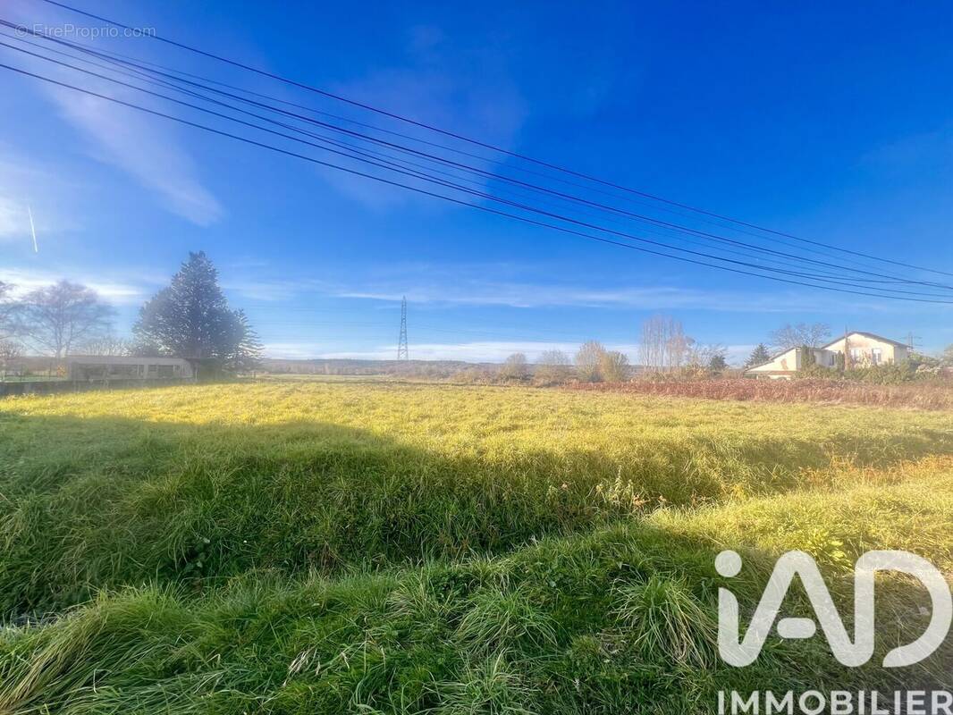 Photo 1 - Terrain à BORDERES-SUR-L'ECHEZ