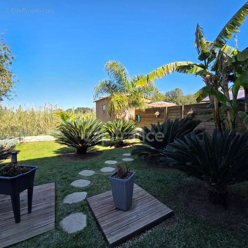 BASTELICACCIA (Corse du sud) proche AJACCIO: Villa de 360m2 avec  piscine et jardin paysager - photo 19