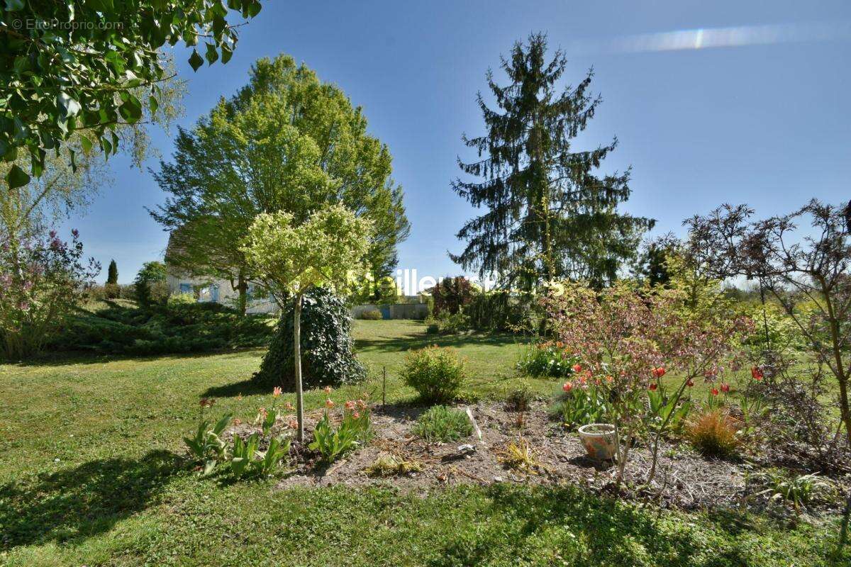 Maison à SAINTE-MAURE